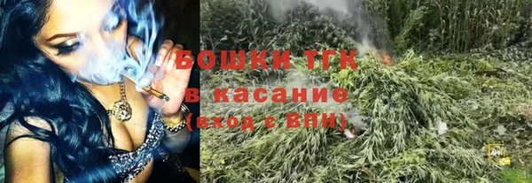 твердый Арсеньев