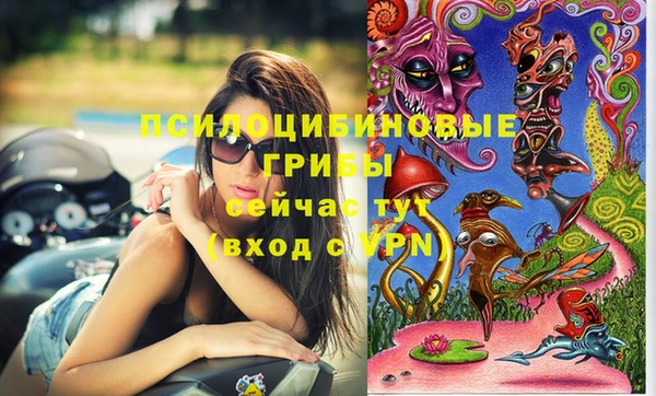 СК Аркадак