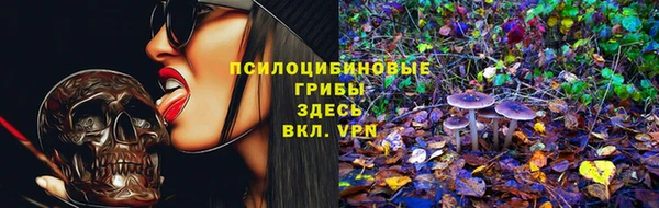 a pvp Армянск