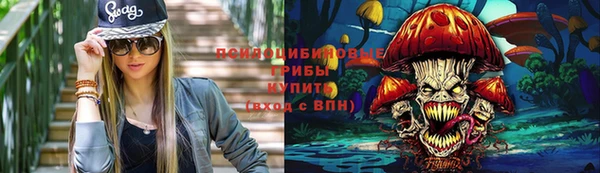 твердый Арсеньев